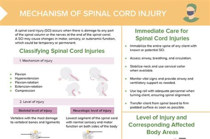 Preventing Spinal Cord Injuries: What to Know
